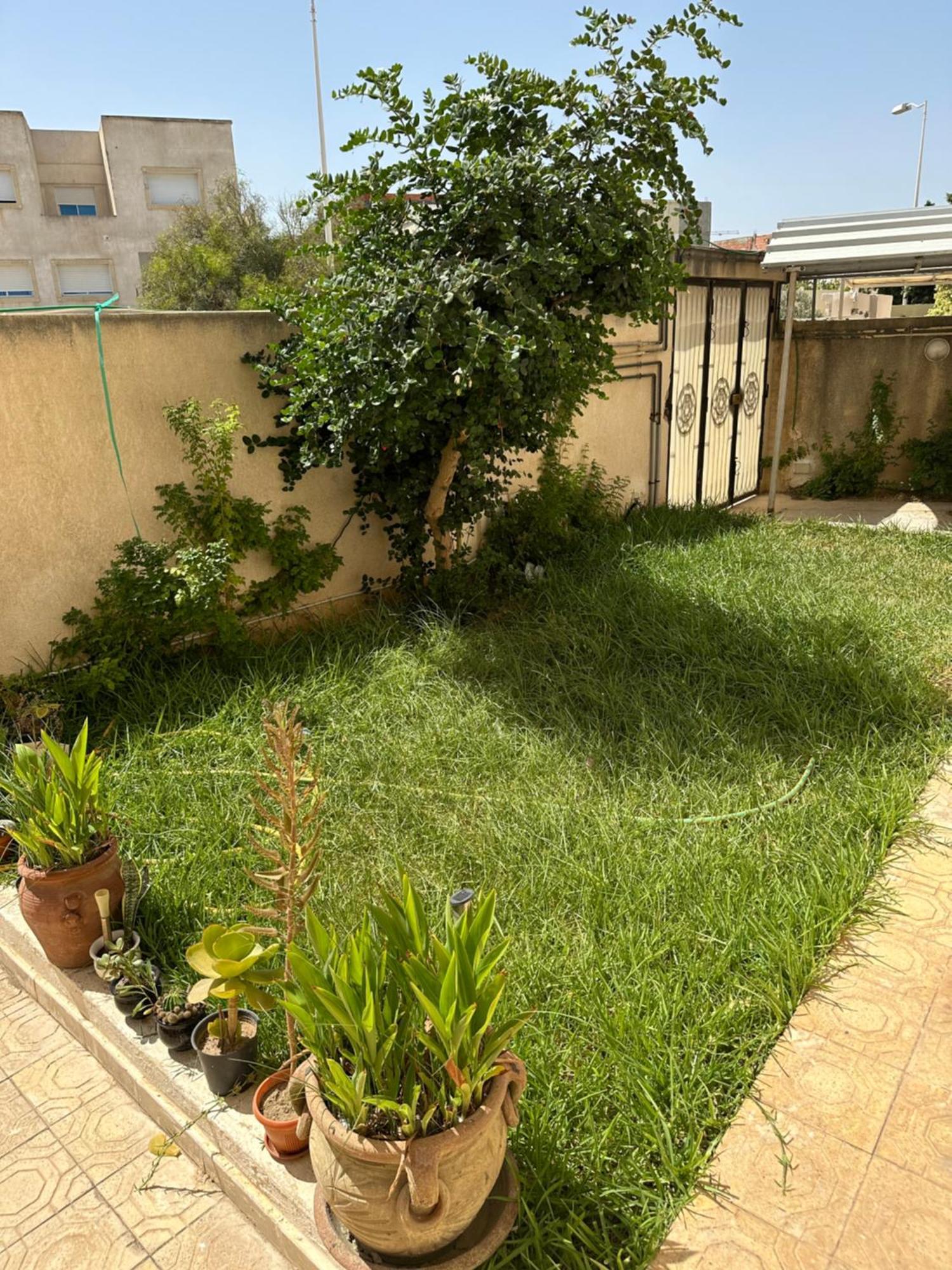 Garden House Jardin De Carthage Apartment Sidi Daoud Exterior photo
